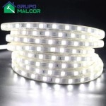 Cinta Led Luz Blanca  120 LED