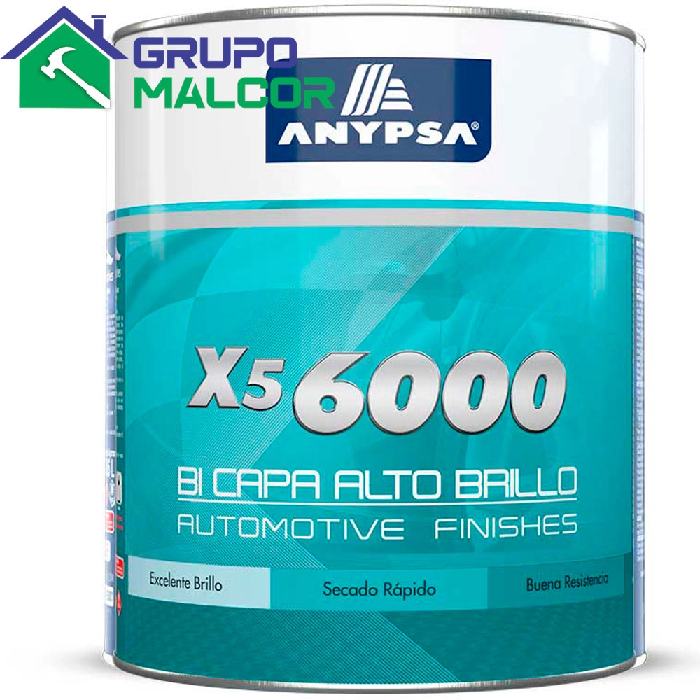 Pintura BI CAPA ALTO BRILLO X5 6000 1G Anypsa