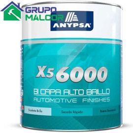 Pintura BI CAPA ALTO BRILLO X5 6000 1G Anypsa